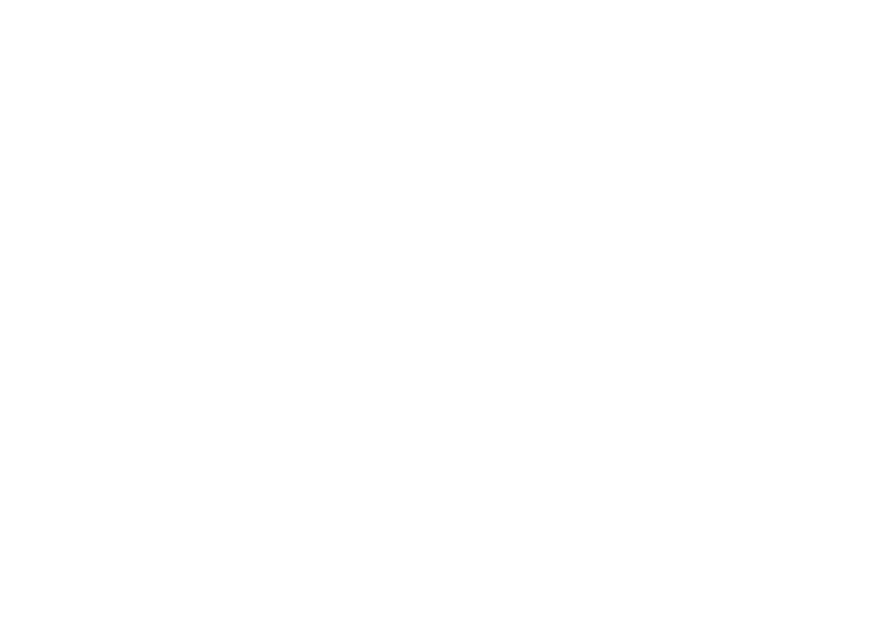 XXXIV Festa da Langosta